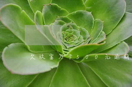 欠玖富万卡500元逾期了怎么办 欠玖富万卡500元逾期了怎么办
