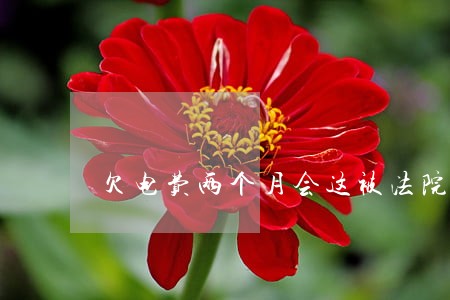 欠电费两个月会这被法院起诉吗 欠电费两个月会这被法院起诉吗