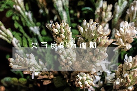 欠百度8万逾期