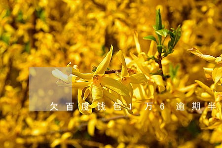 欠百度钱包1万6逾期半年 欠百度钱包1万6逾期半年