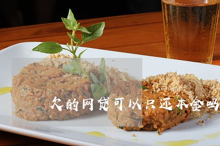 欠的网贷可以只还本金吗