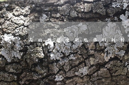 欠的网贷逾期电话打到村委会了 欠的网贷逾期电话打到村委会了