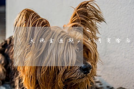 欠税金逾期2个月有啥后果 欠税金逾期2个月有啥后果