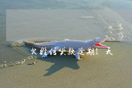 欠维信贷款逾期1天 欠维信贷款逾期1天