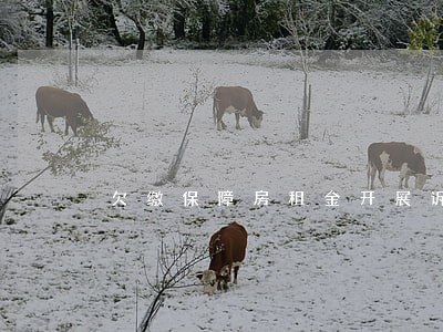 欠缴保障房租金开展诉讼
