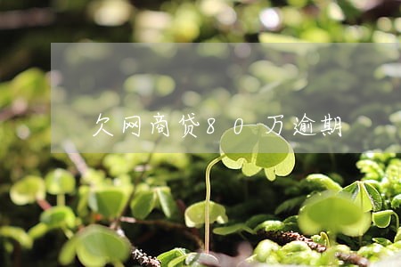 欠网商贷80万逾期 欠网商贷80万逾期