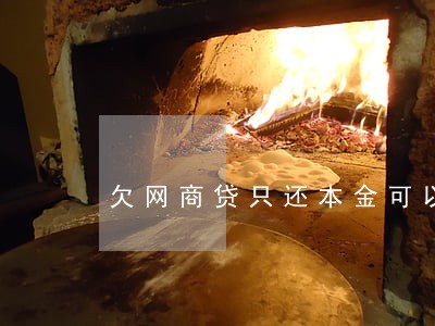 欠网商贷只还本金可以吗 欠网商贷只还本金可以吗