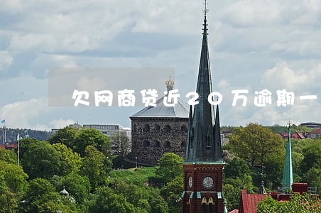 欠网商贷近20万逾期一年半 欠网商贷近20万逾期一年半
