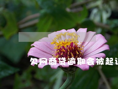 欠网商贷逾期会被起诉吗 欠网商贷逾期会被起诉吗