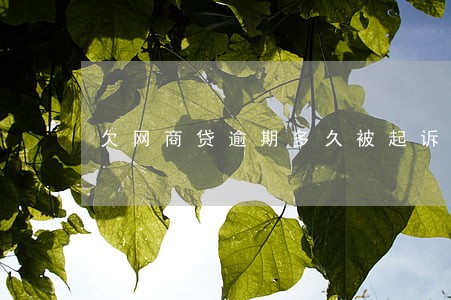 欠网商贷逾期多久被起诉 欠网商贷逾期多久被起诉
