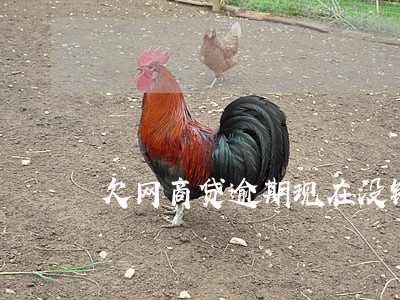 欠网商贷逾期现在没钱还 欠网商贷逾期现在没钱还