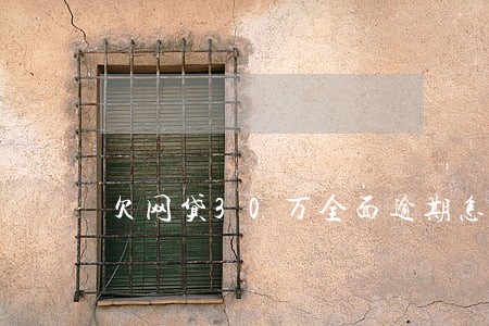 欠网贷30万全面逾期怎么办