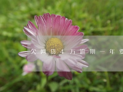 欠网贷4万逾期一年要还多少 欠网贷4万逾期一年要还多少