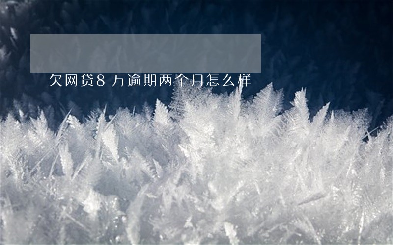 欠网贷8万逾期两个月怎么样 欠网贷8万逾期两个月怎么样