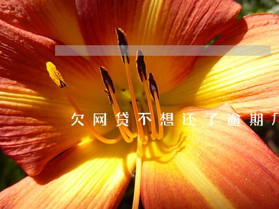欠网贷不想还了逾期几百一天 欠网贷不想还了逾期几百一天