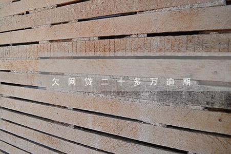 欠网贷二十多万逾期 欠网贷二十多万逾期