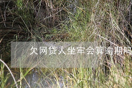 欠网贷人坐牢会算逾期吗 欠网贷人坐牢会算逾期吗