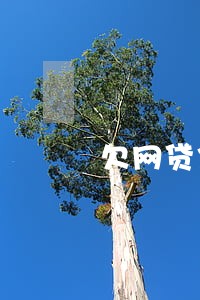 欠网贷信用卡二十几万逾期了 欠网贷信用卡二十几万逾期了