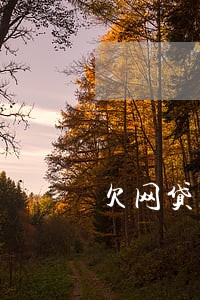 欠网贷几十万逾期了怎么办 欠网贷几十万逾期了怎么办