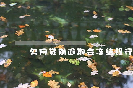 欠网贷刚逾期会冻结银行吗 欠网贷刚逾期会冻结银行吗
