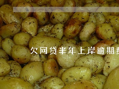 欠网贷半年上岸逾期费好高 欠网贷半年上岸逾期费好高