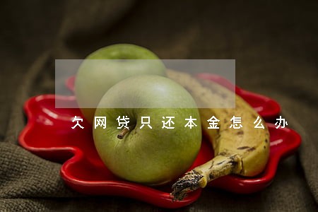 欠网贷只还本金怎么办 欠网贷只还本金怎么办