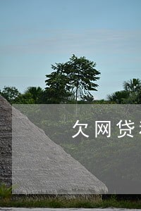 欠网贷和信贷逾期了怎么办 欠网贷和信贷逾期了怎么办