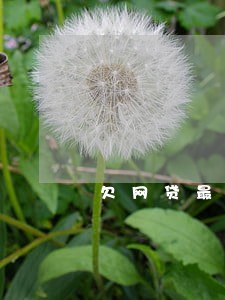 欠网贷最多可以逾期多长时间 欠网贷最多可以逾期多长时间