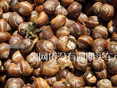 欠网贷没有逾期买车可以分期吗 欠网贷没有逾期买车可以分期吗