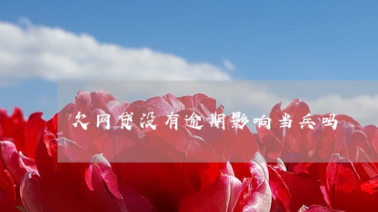 欠网贷没有逾期影响当兵吗 欠网贷没有逾期影响当兵吗