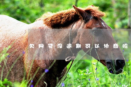 欠网贷没逾期可以协商吗 欠网贷没逾期可以协商吗