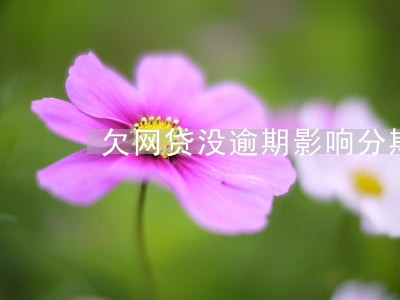 欠网贷没逾期影响分期购车吗