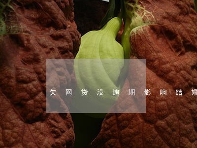 欠网贷没逾期影响结婚吗 欠网贷没逾期影响结婚吗