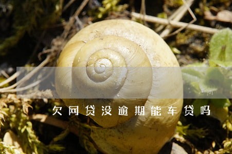 欠网贷没逾期能车贷吗 欠网贷没逾期能车贷吗
