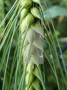 欠网贷自首逾期费用会停吗 欠网贷自首逾期费用会停吗
