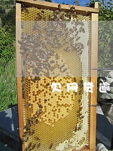 欠网贷逾期2个月可以注册公司吗 欠网贷逾期2个月可以注册公司吗