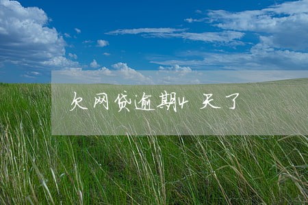 欠网贷逾期4天了 欠网贷逾期4天了