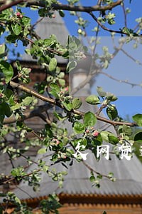 欠网贷逾期一直被恐吓 欠网贷逾期一直被恐吓