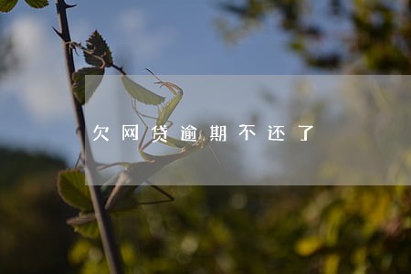 欠网贷逾期不还了 欠网贷逾期不还了