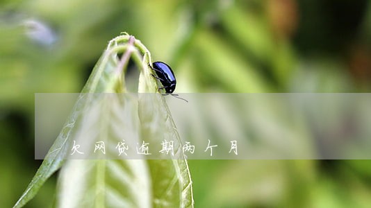 欠网贷逾期两个月 欠网贷逾期两个月