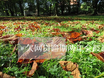 欠网贷逾期两年会被起诉吗 欠网贷逾期两年会被起诉吗