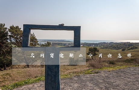 欠网贷逾期二个月会怎样 欠网贷逾期二个月会怎样