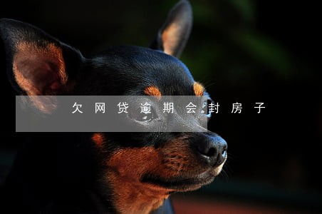 欠网贷逾期会封房子 欠网贷逾期会封房子