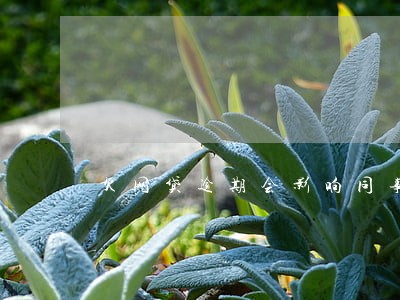 欠网贷逾期会影响同事信用卡吗