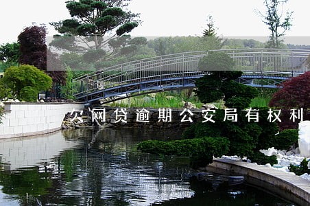 欠网贷逾期公安局有权利抓铺 欠网贷逾期公安局有权利抓铺