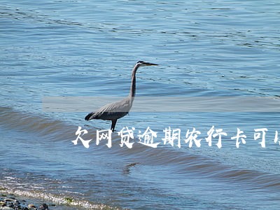 欠网贷逾期农行卡可以收钱吗