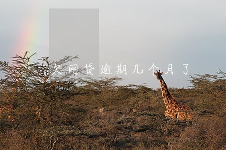 欠网贷逾期几个月了 欠网贷逾期几个月了