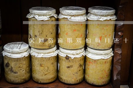 欠网贷逾期别怕每月还十元 欠网贷逾期别怕每月还十元