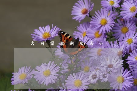 欠网贷逾期卖房子 欠网贷逾期卖房子