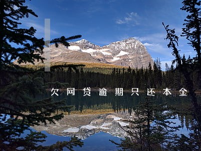 欠网贷逾期只还本金 欠网贷逾期只还本金